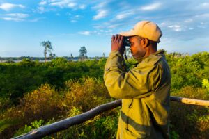 Ranger viewpoint Zambia Africa