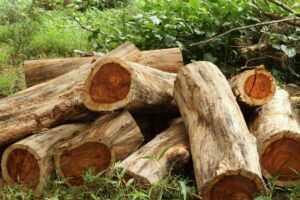 The rosewood assemblage